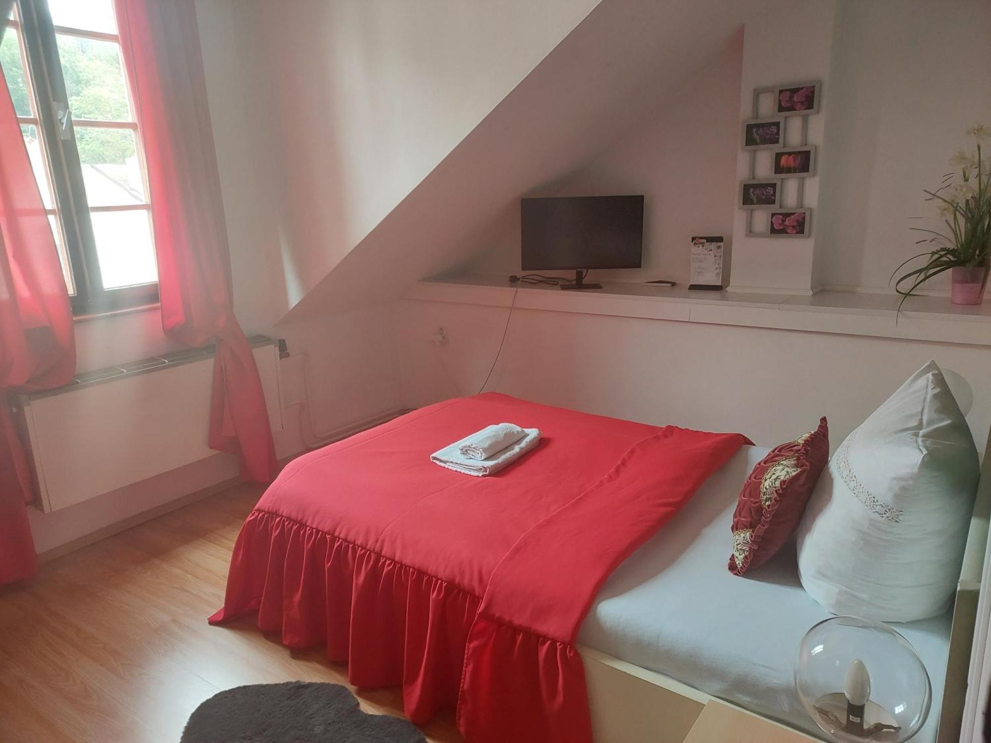 Hotel Asila Karlsbad Eksteriør billede